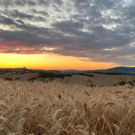 Eleganza Retrò Con Vista Sulla Basilica